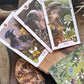 The Animal & Botanical Tarot Set